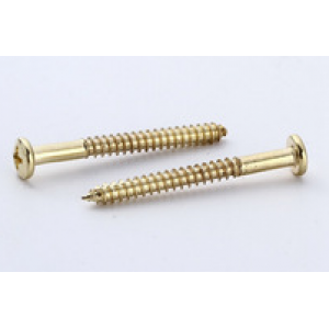 drywall screw