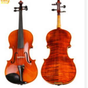 violin